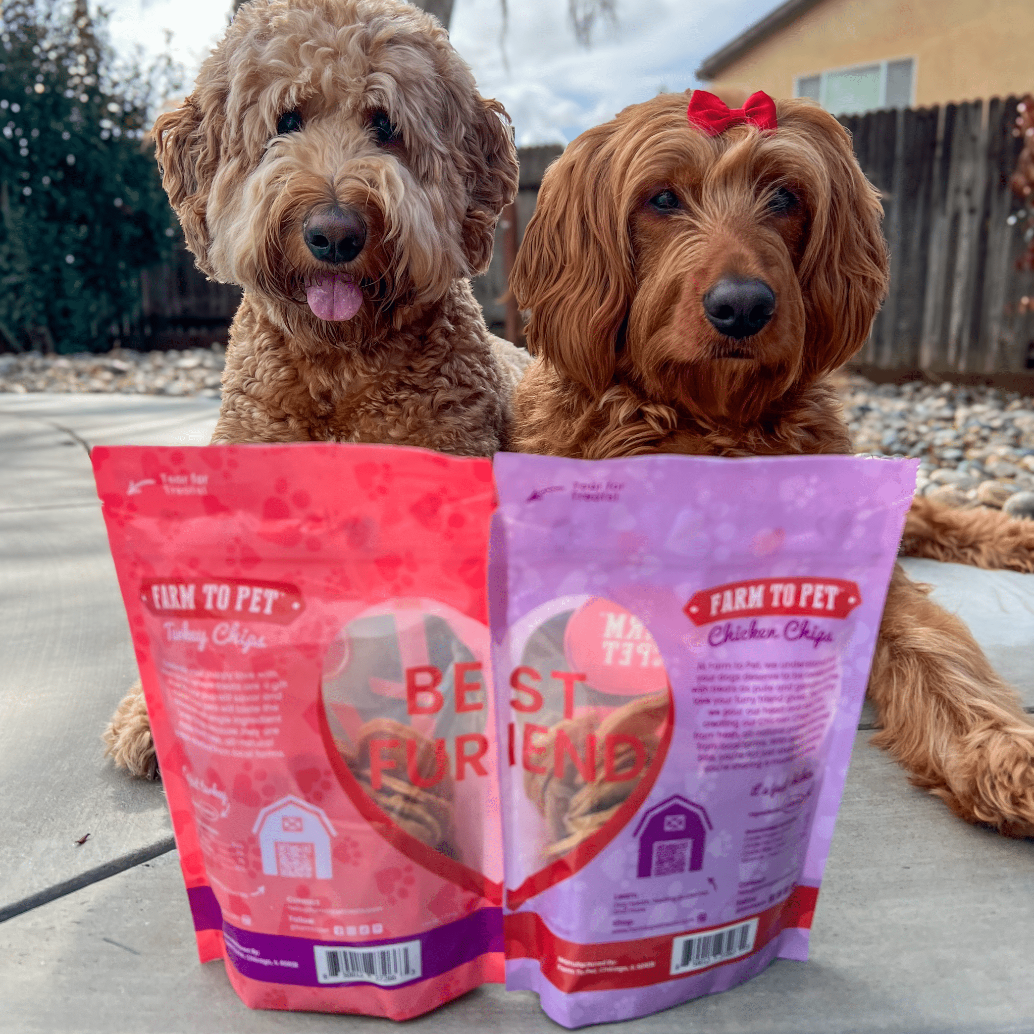 Puppy Love Dog Treat Duo | Poultry Chip Variety Pack - MaisonBeach