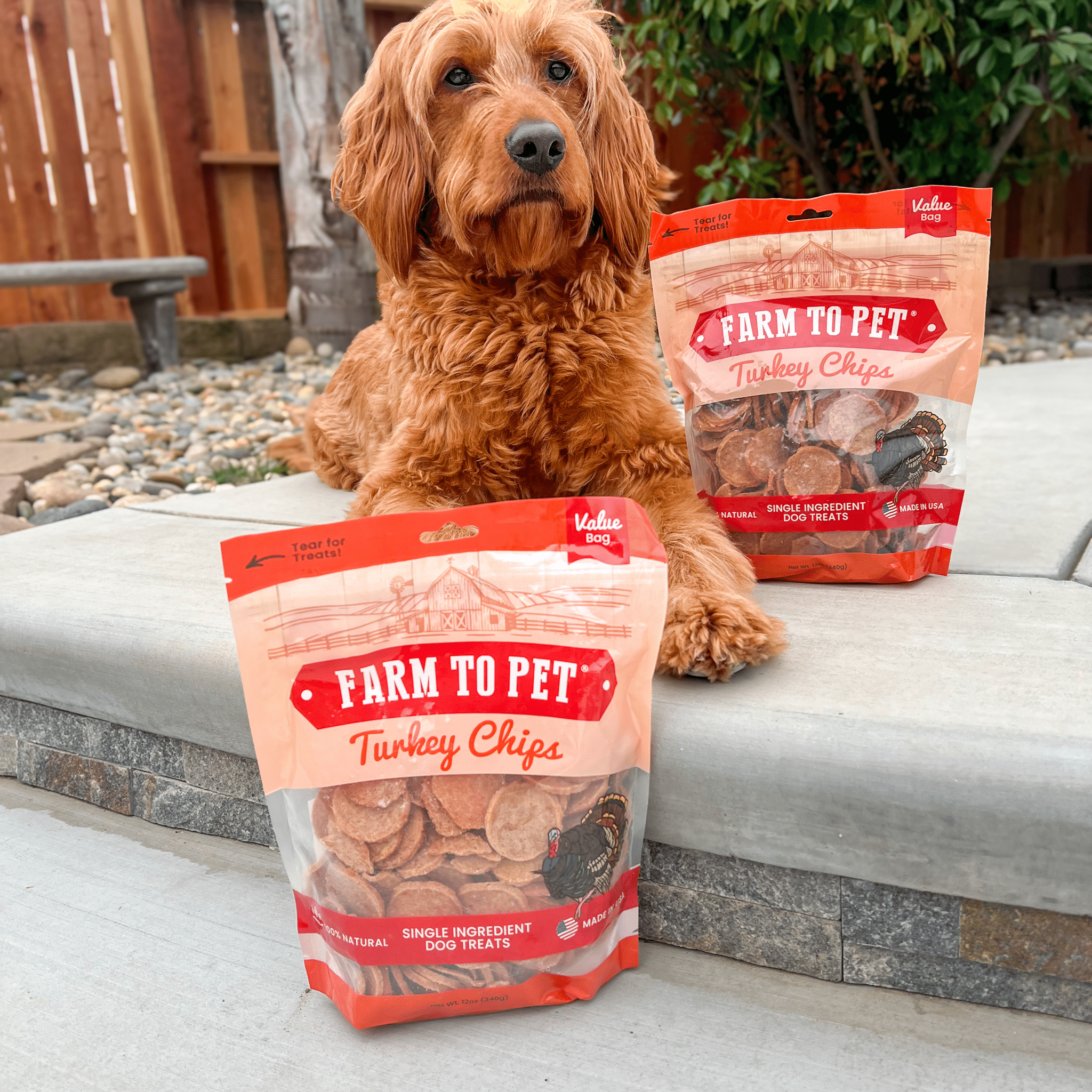 Turkey Chips for Dogs | All-Natural Single-Ingredient Healthy Dog Treats - MaisonBeach