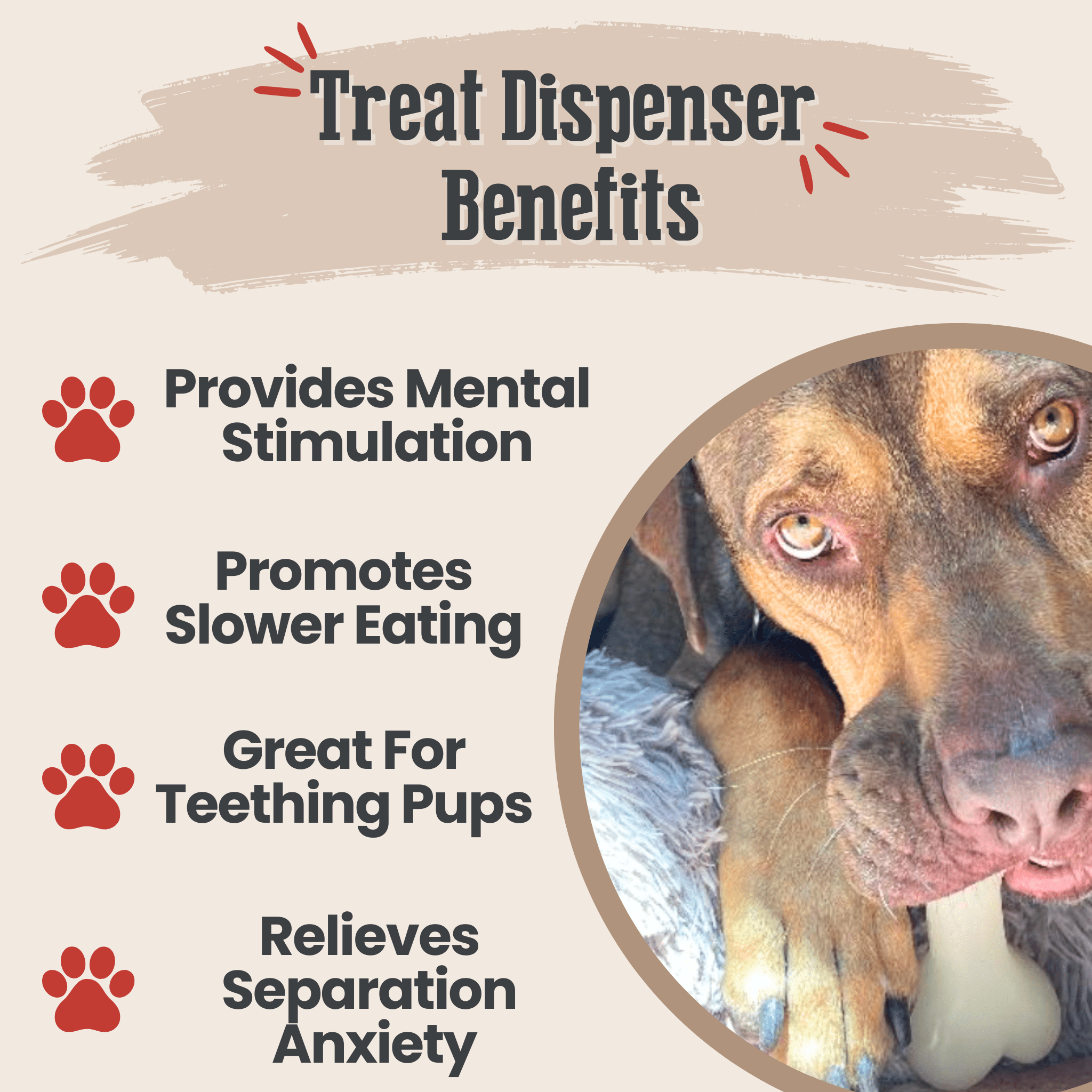 Dog Treat Dispensers - MaisonBeach