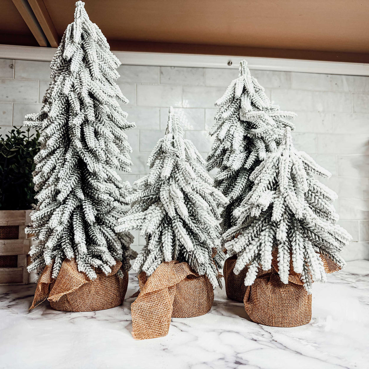Snow Trees - MaisonBeach