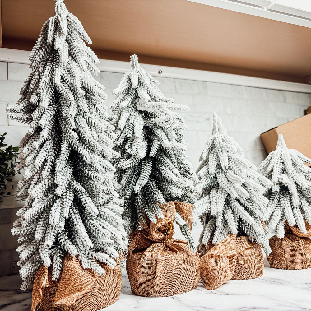 Snow Trees - MaisonBeach