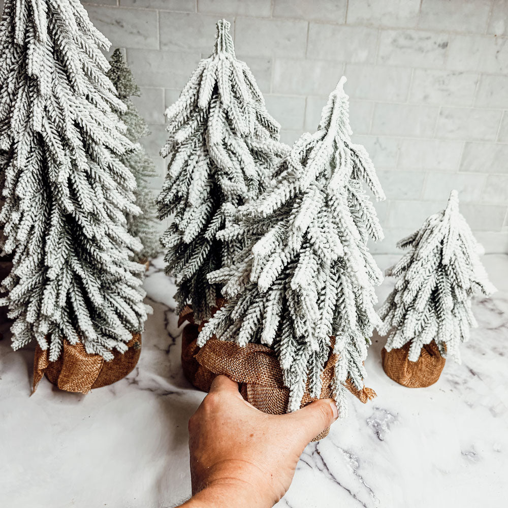 Snow Trees - MaisonBeach