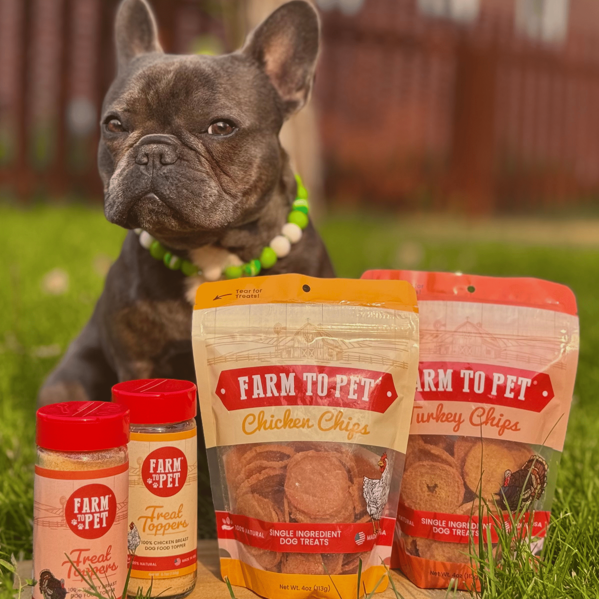 Chicken & Turkey Dog Food Topper Bundle - MaisonBeach