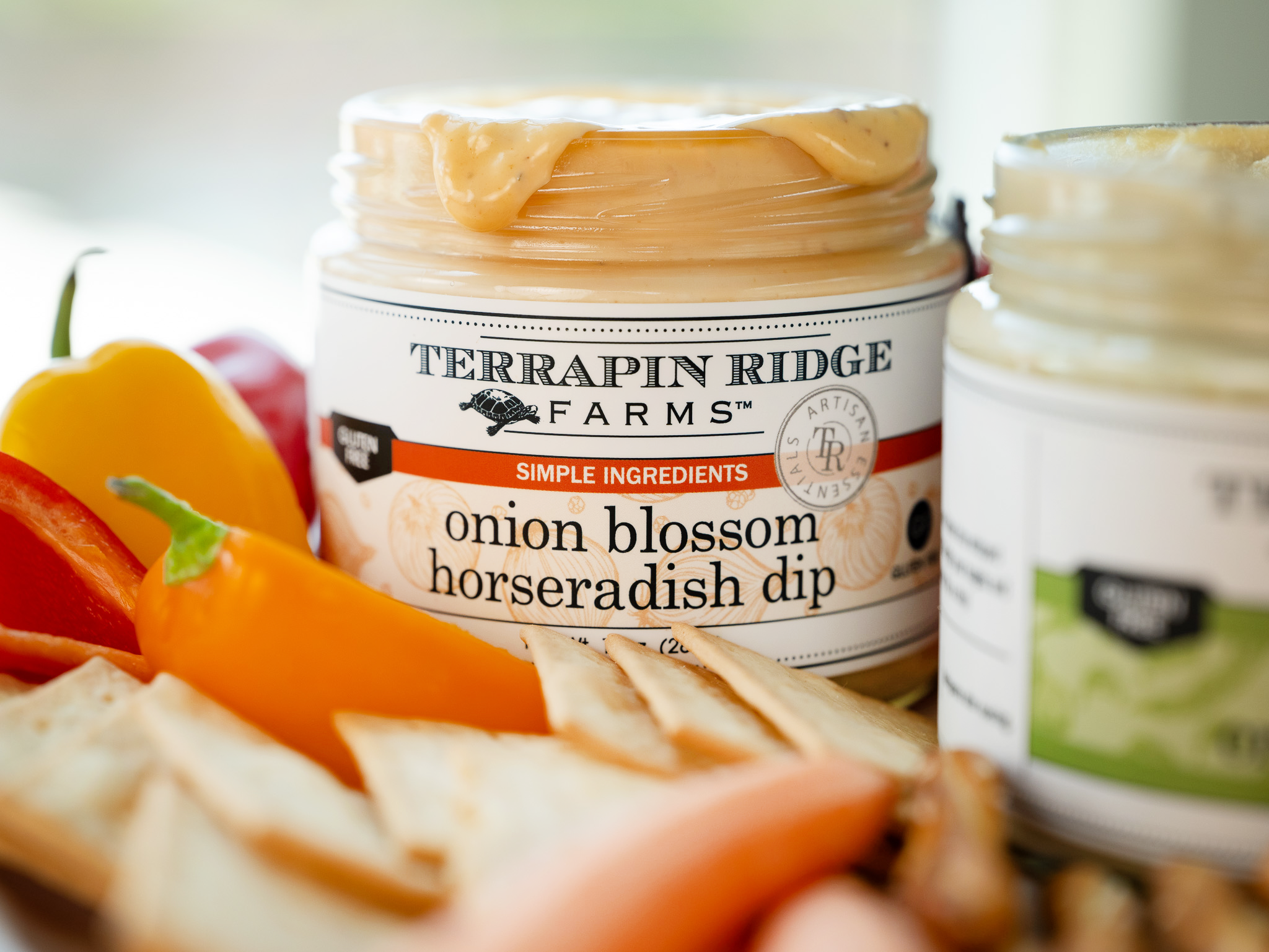 Onion Blossom Horseradish Dip - MaisonBeach