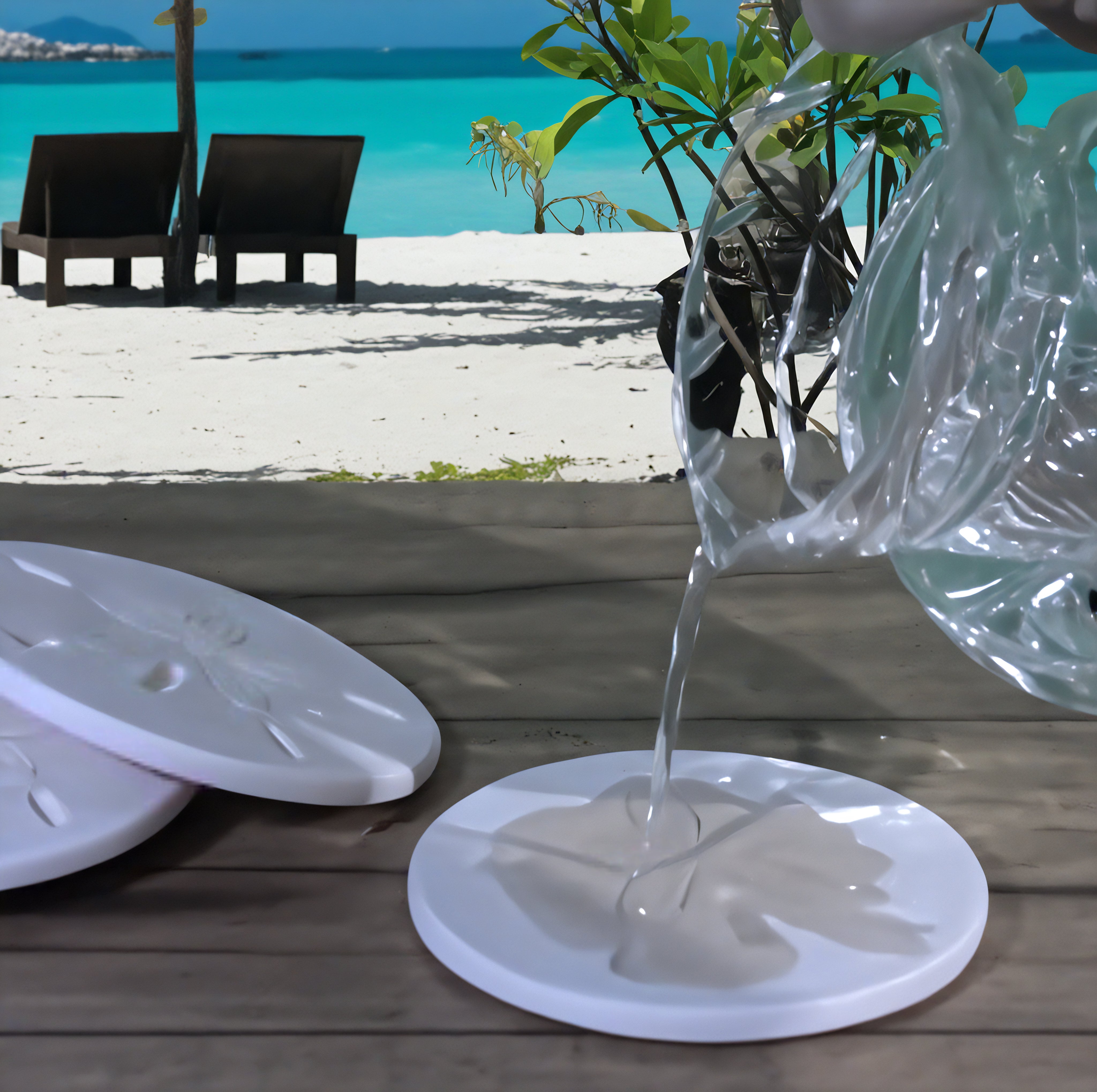 Assorted Shells Drink Coasters