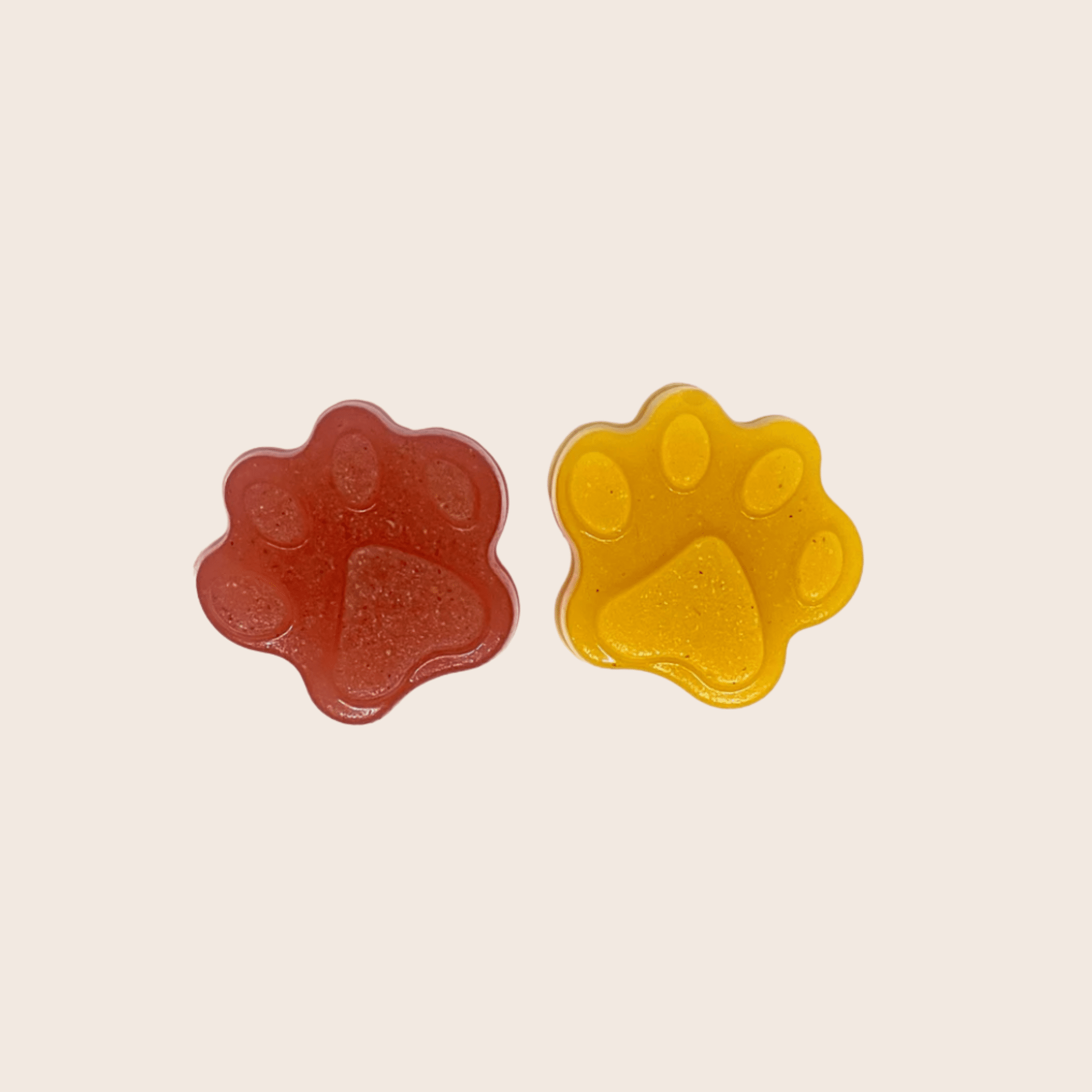 Pet Treat Molds - MaisonBeach