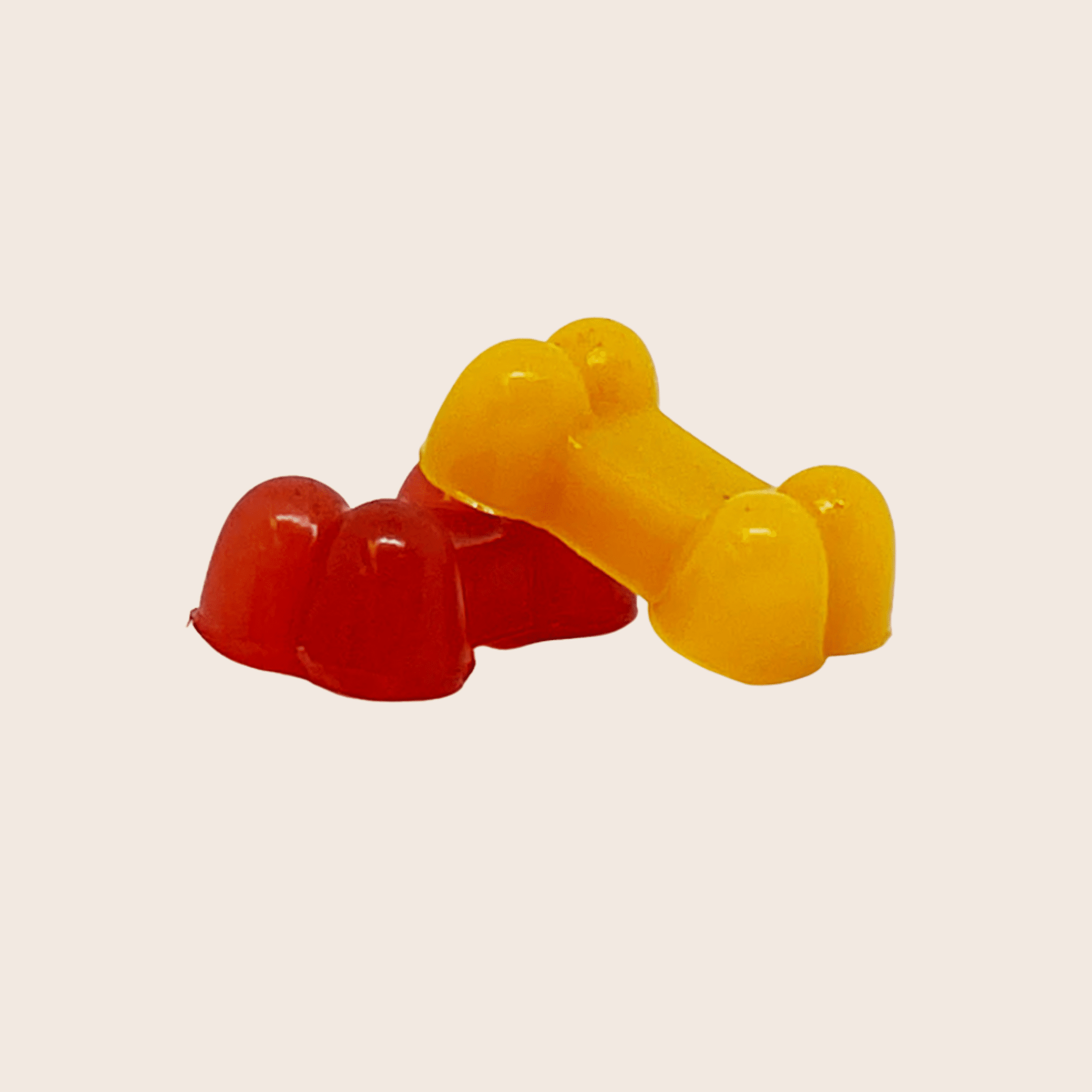 Pet Treat Molds - MaisonBeach