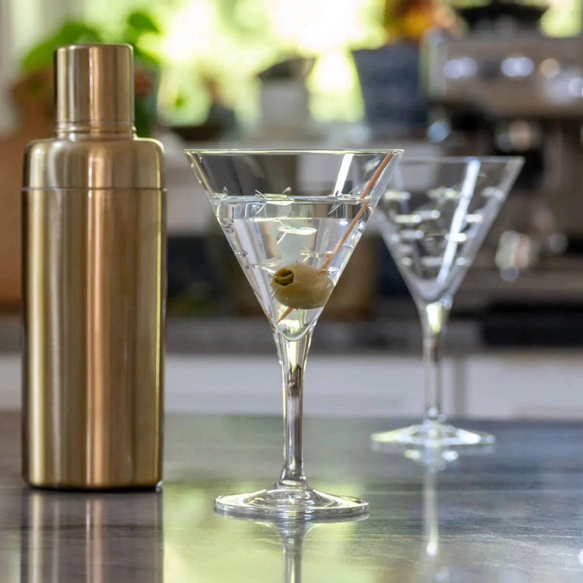 School of Fish 7.5 oz. Martinis - MaisonBeach