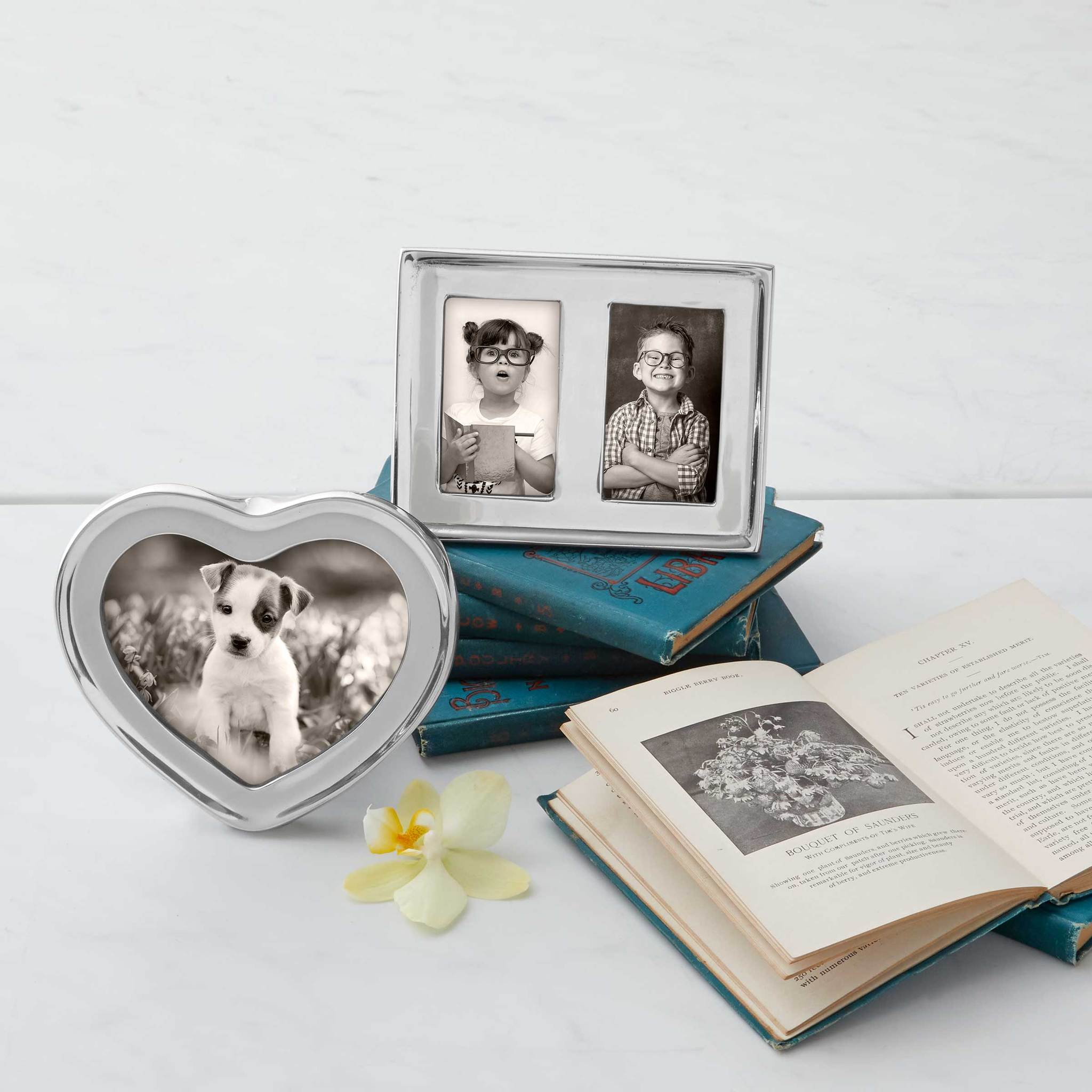 Signature Double 2 x 3 Frame - MaisonBeach