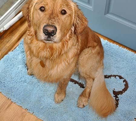 Large Absorbent Doormat in Baby Blue - MaisonBeach